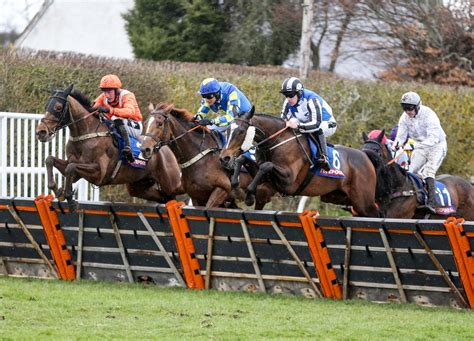 myracing.com tips|horse racing tips the daily mail.